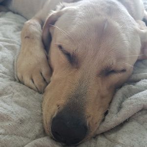 Meet your Posher, Mallory